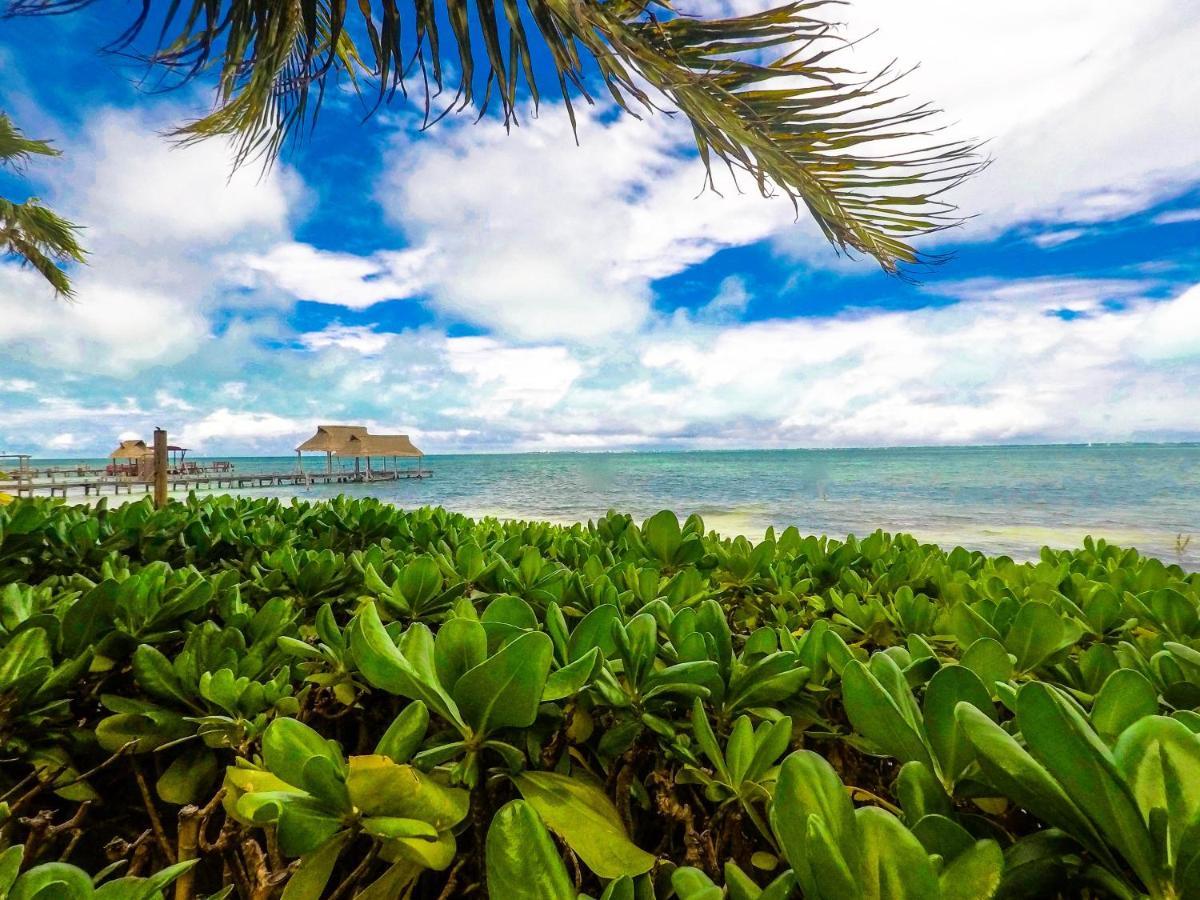 Punta Me Beach Suites カンクン エクステリア 写真