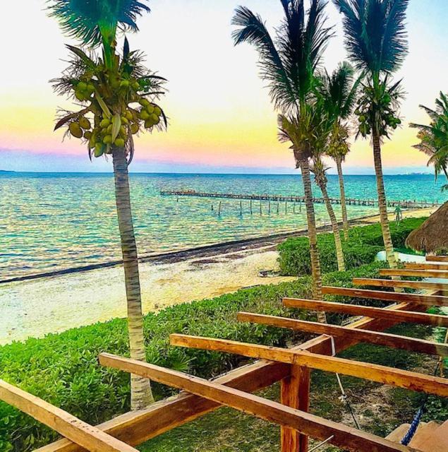 Punta Me Beach Suites カンクン エクステリア 写真